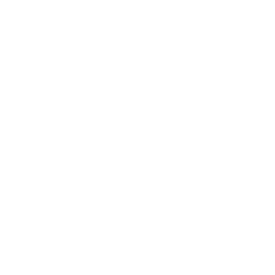 Amplified Insurance